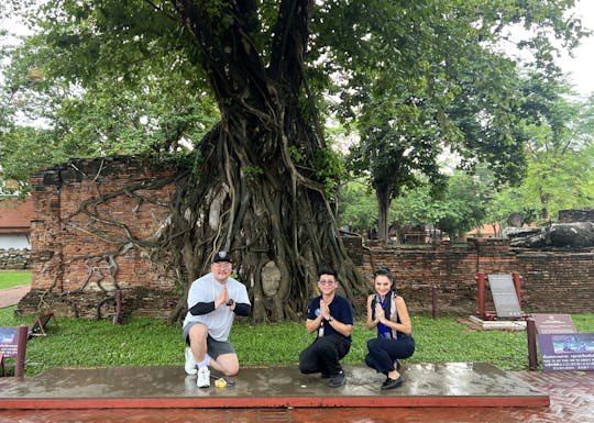 Guided tour of Ayutthaya with cable car and temple visits