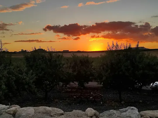 Passeio pelas vinhas e olivais de Agrigento com degustação de vinhos à luz das estrelas