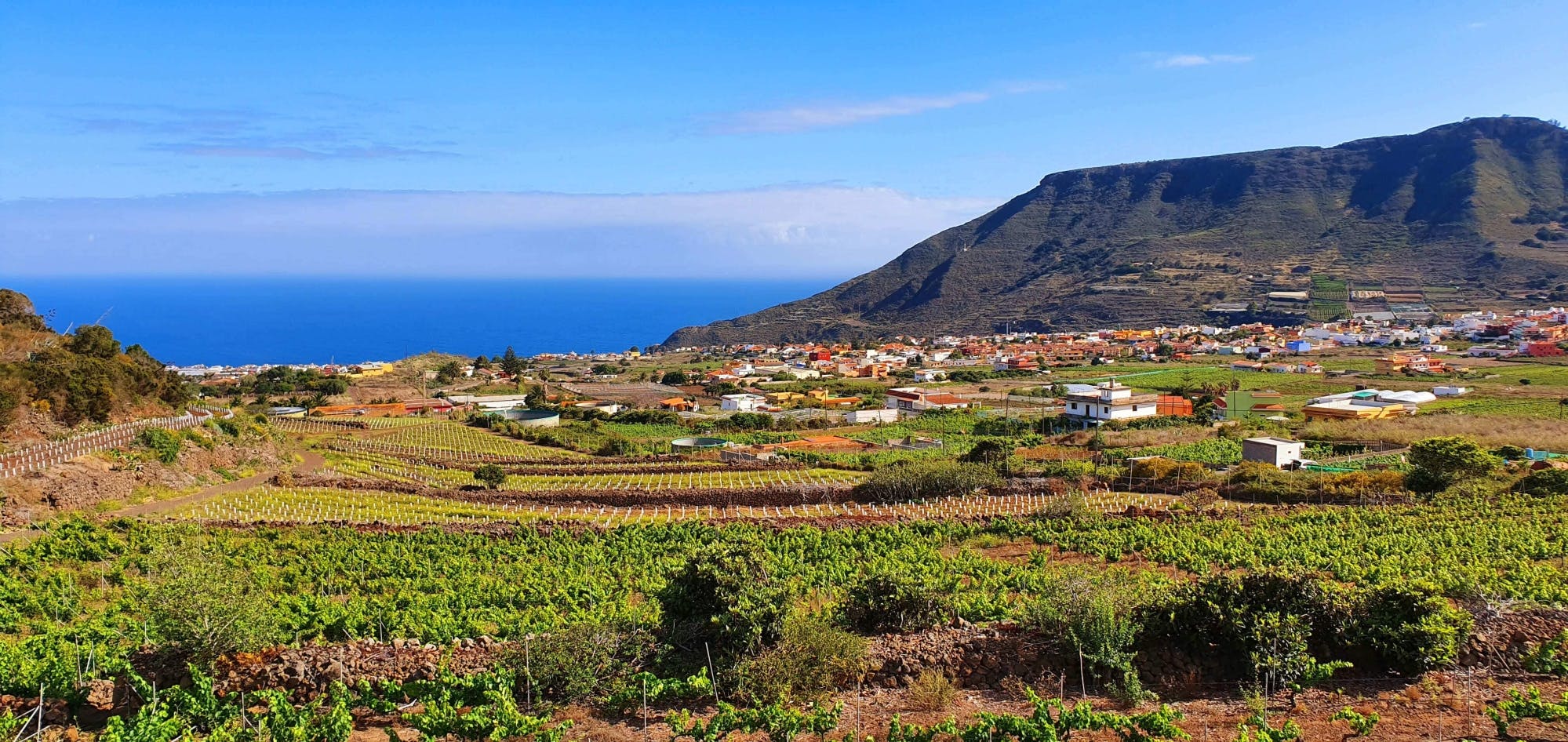 Nat Geo Day Tour: Wine in the Canary Islands - a sensory experience
