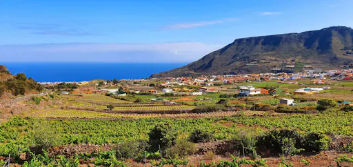 Nat Geo Day Tour: Wine in the Canary Islands - a sensory experience
