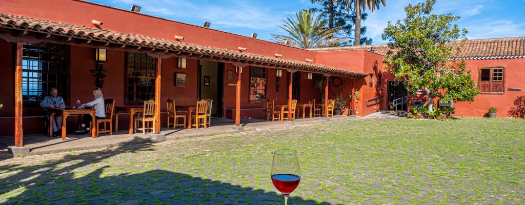 Nat Geo Day Tour: Wine in the Canary Islands - a Sensory Experience