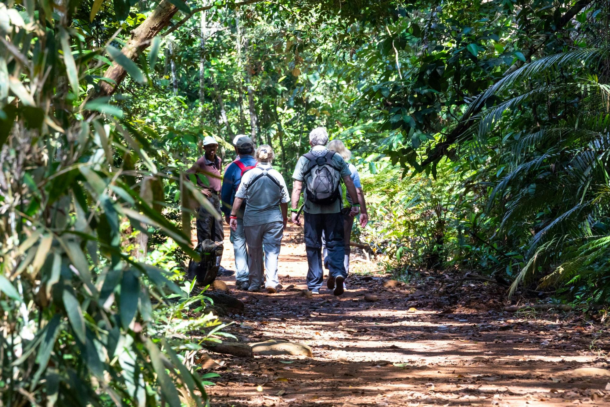 Excursión de dos días por la selva tropical de Sri Lanka en el Sinharaja Eco Lodge