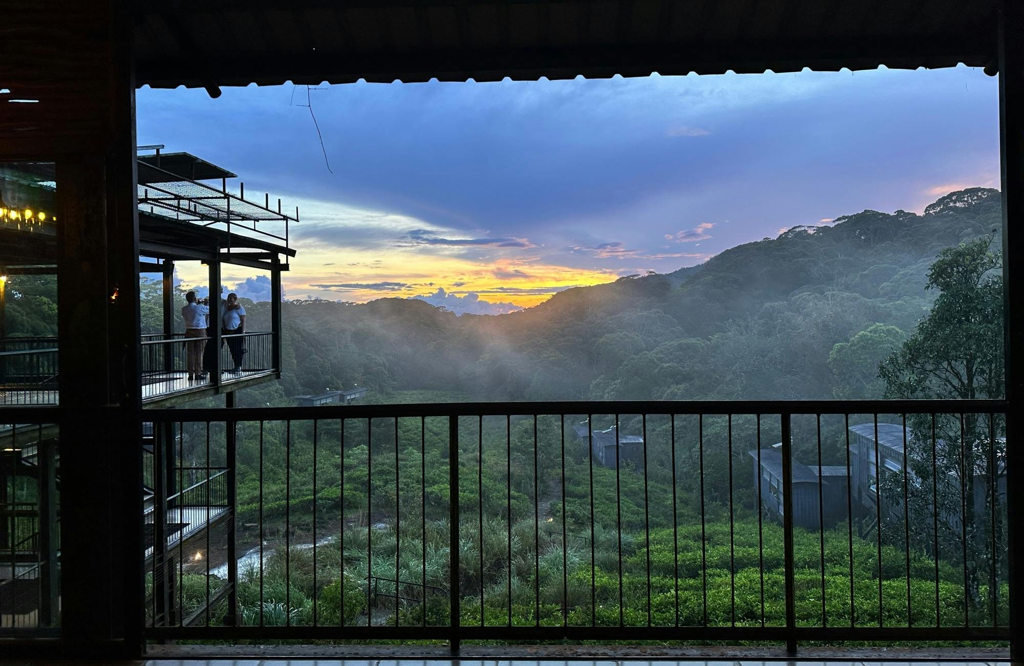 Sri Lanka rainforest two-day tour in Sinharaja Eco Lodge