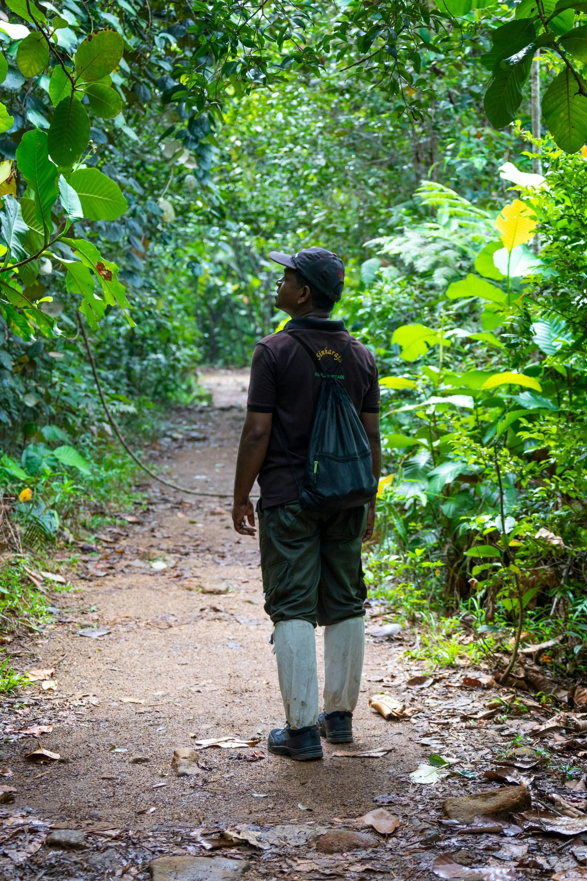 Sri Lanka rainforest two-day tour in Sinharaja Eco Lodge