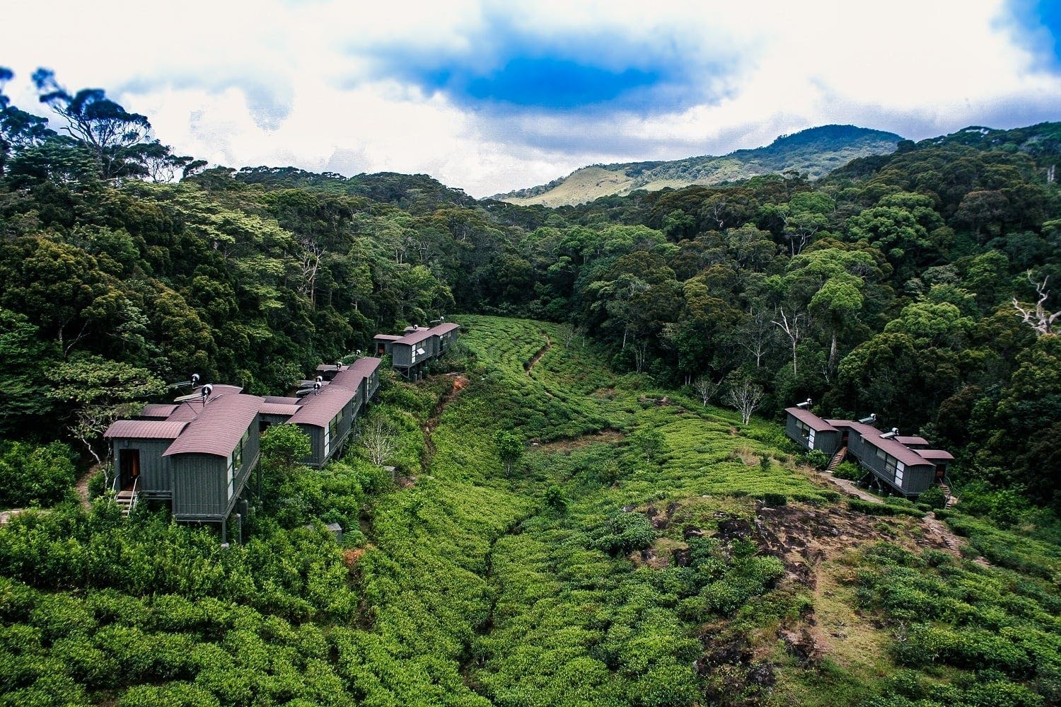 Sri Lanka rainforest two-day tour in Sinharaja Eco Lodge