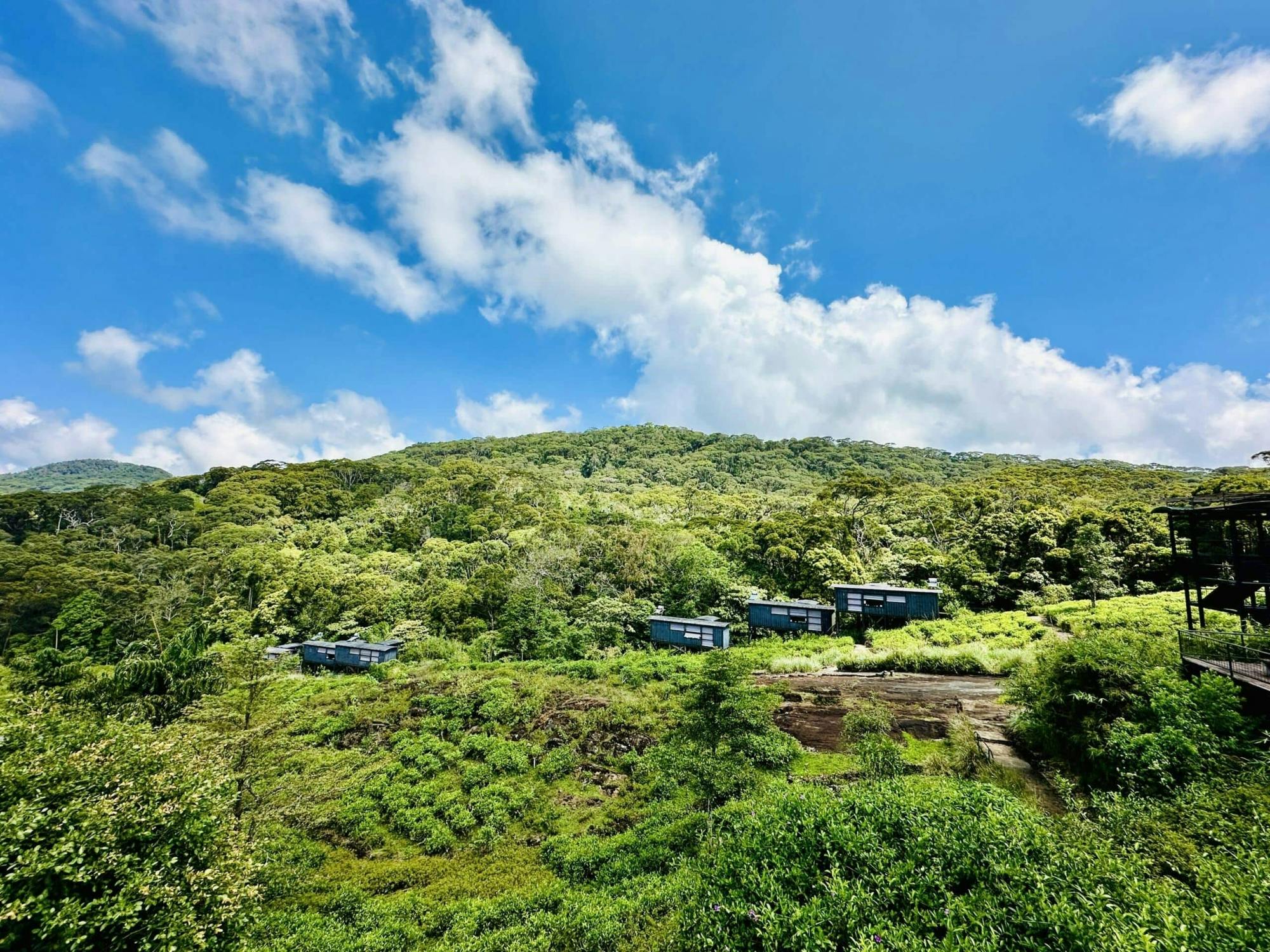 Sri Lanka rainforest two-day tour in Sinharaja Eco Lodge