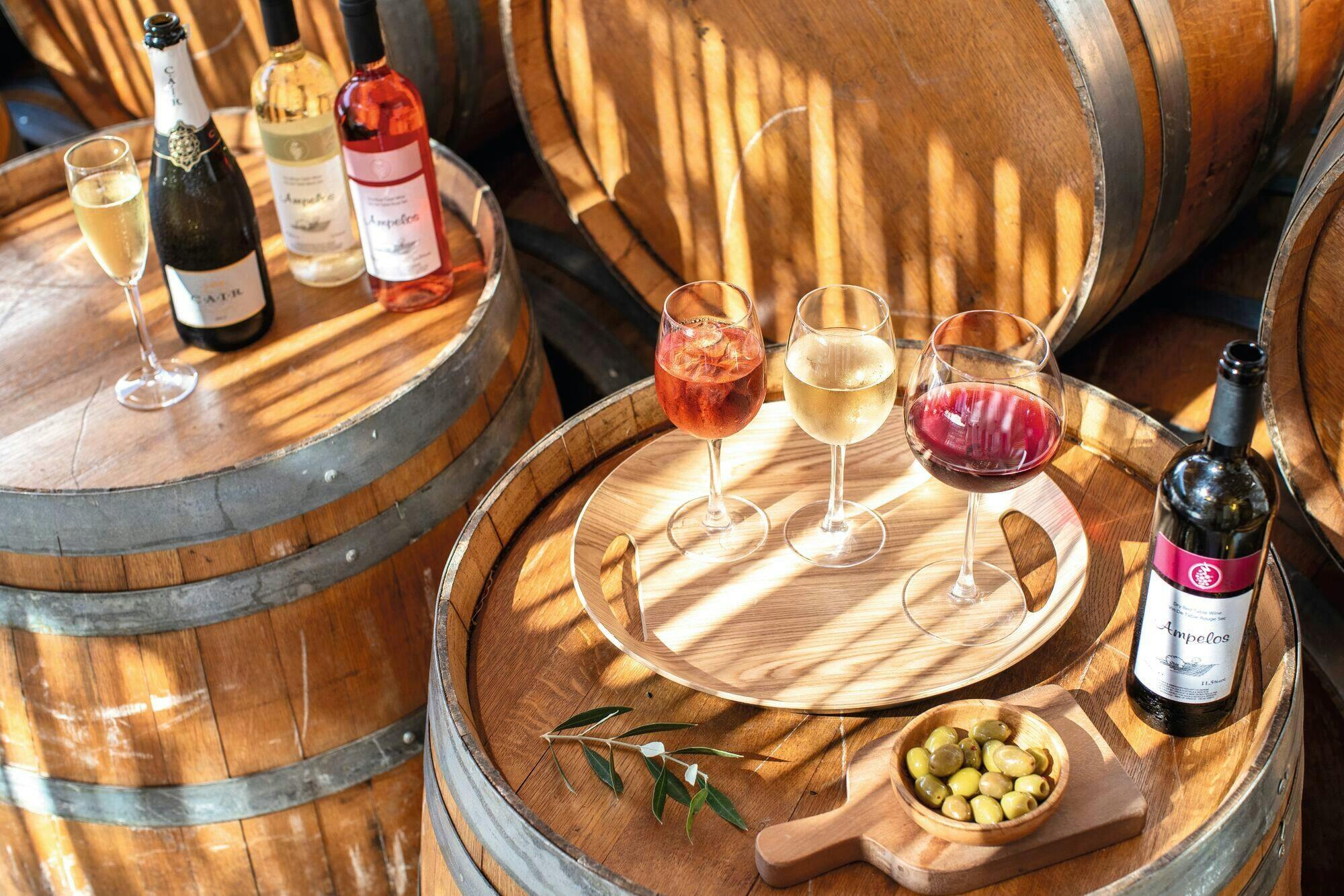 Lake Garda wine-tasting tour