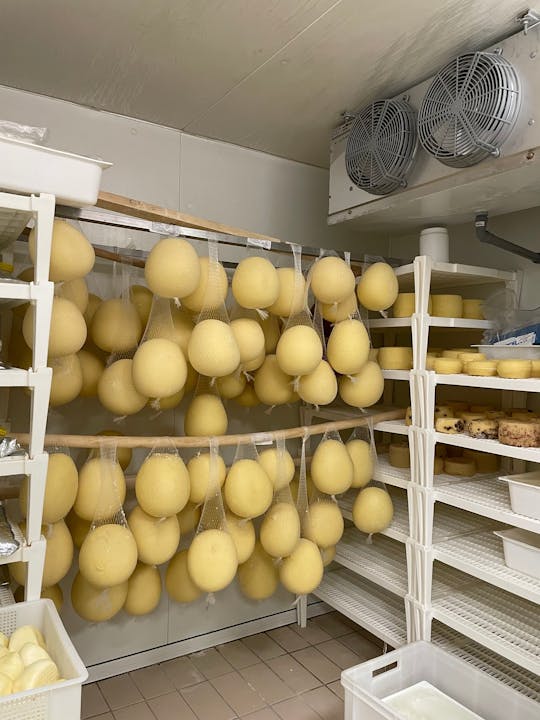 Semi Private Cheese Making & Tasting Experience