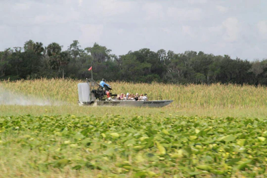 Florida wildlife adventure with Airboat Ride and Gatorland entry