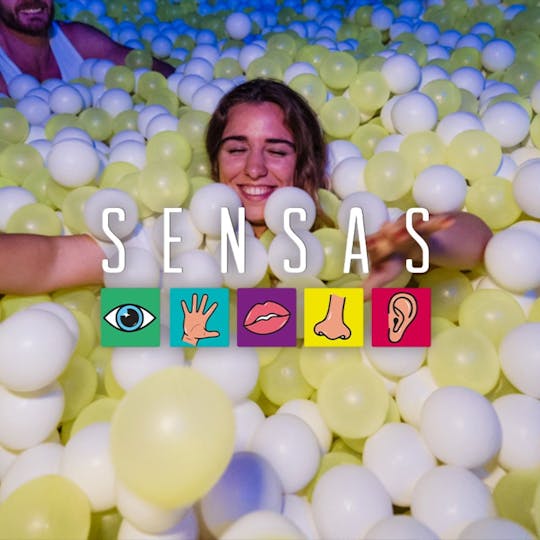 Sensory experience in Brussels tickets
