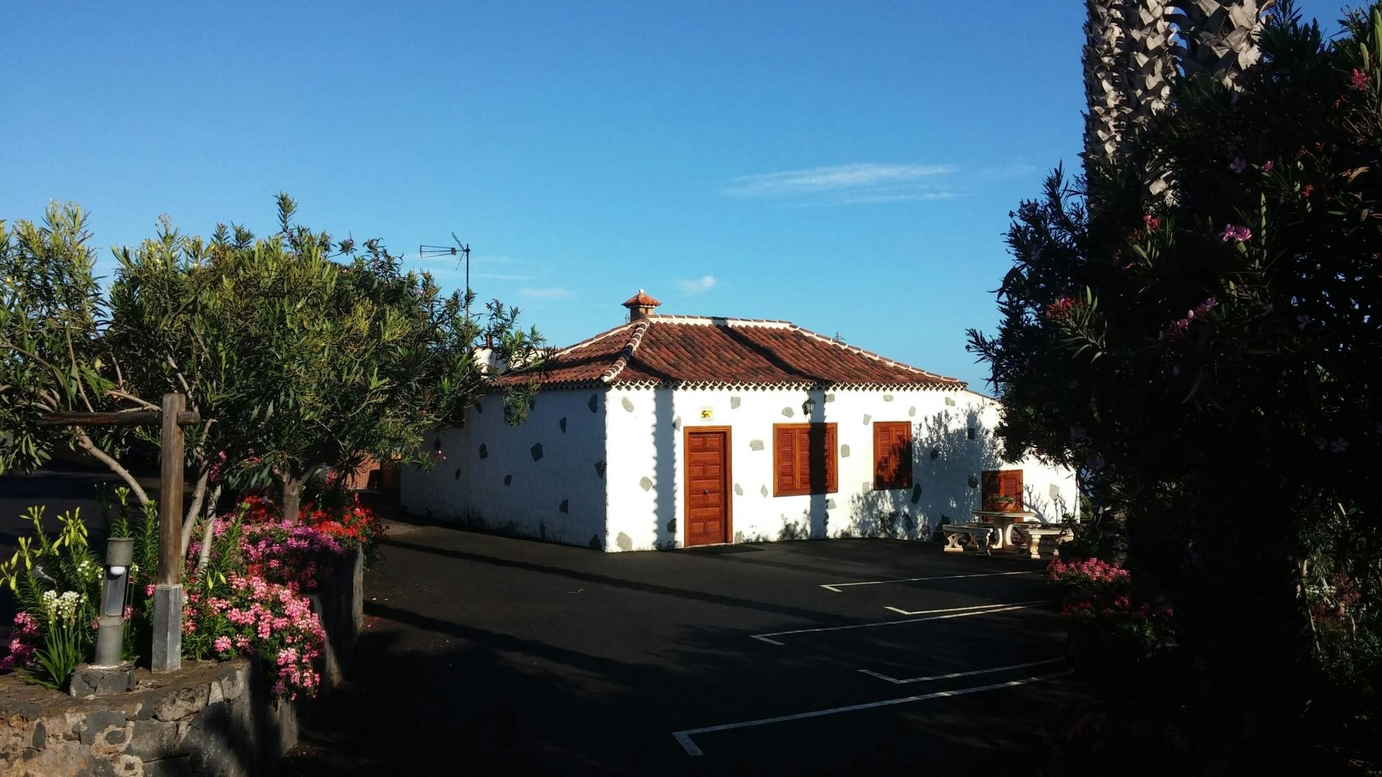 Nat Geo Day Tour: Wine in the Canary Islands - a Sensory Experience