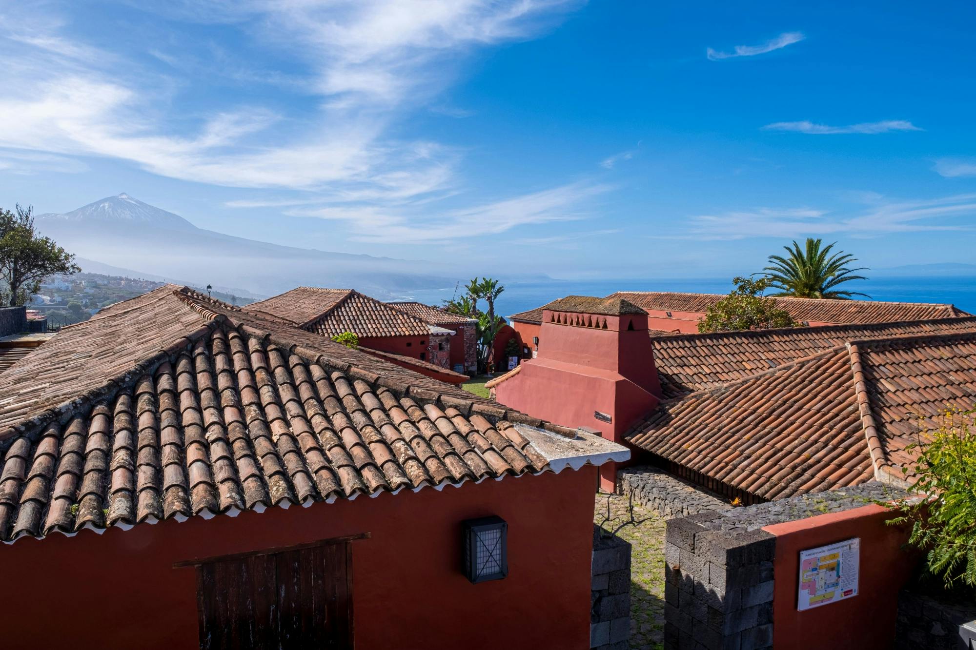 Nat Geo Day Tour: Wine in the Canary Islands - a Sensory Experience