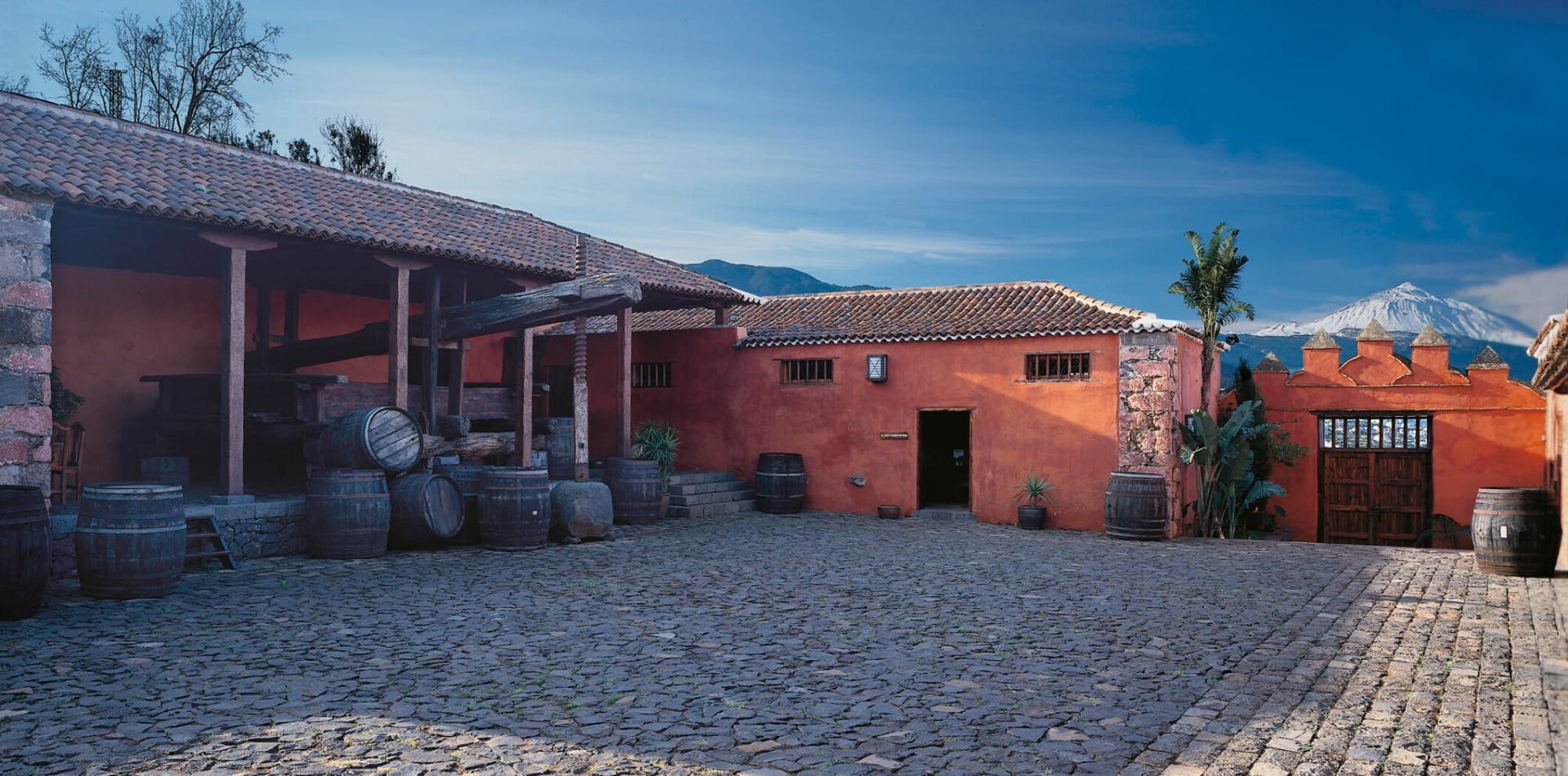 Nat Geo Day Tour: Wine in the Canary Islands - a Sensory Experience