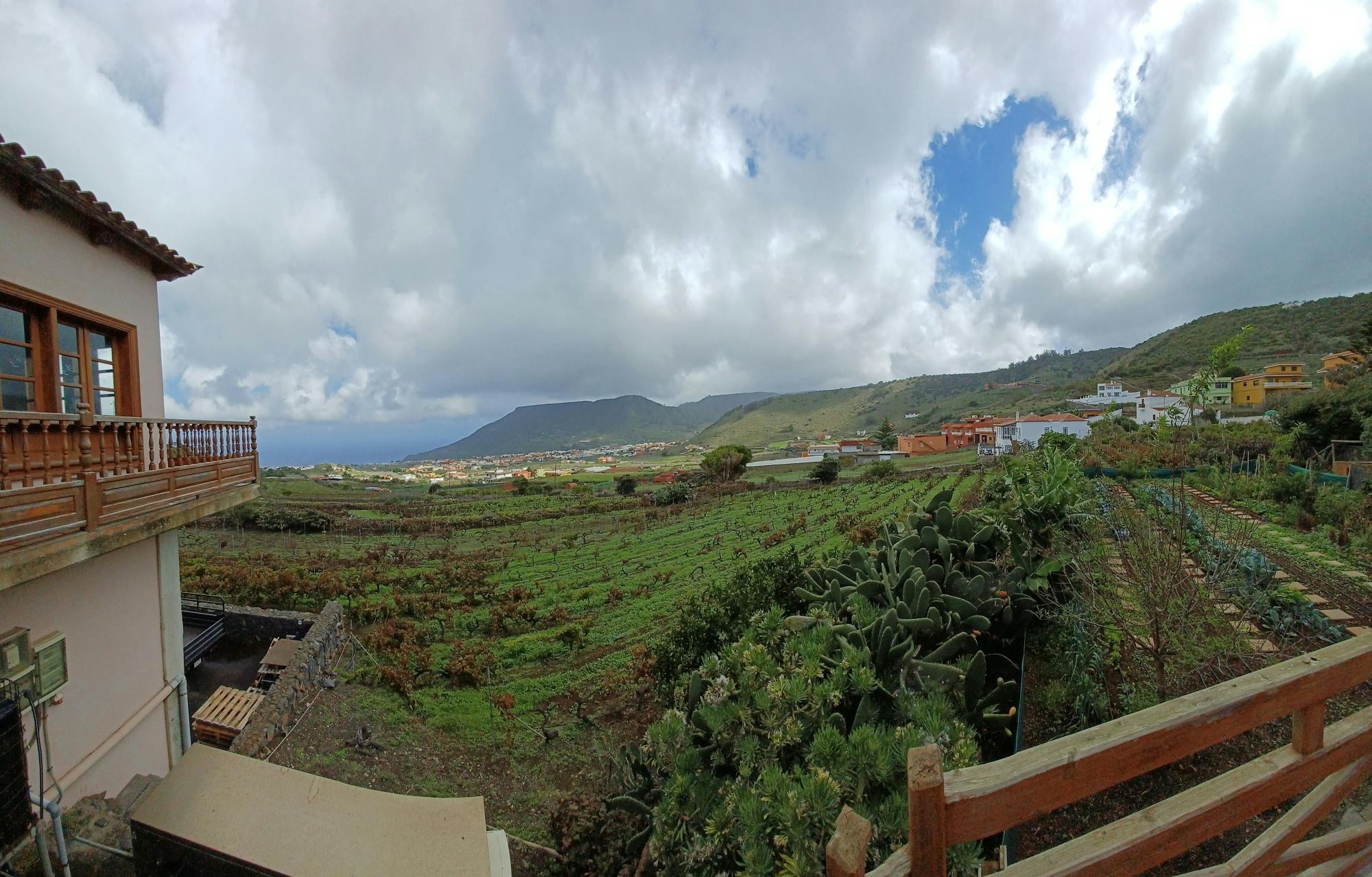 Nat Geo Day Tour: Wine in the Canary Islands - a Sensory Experience