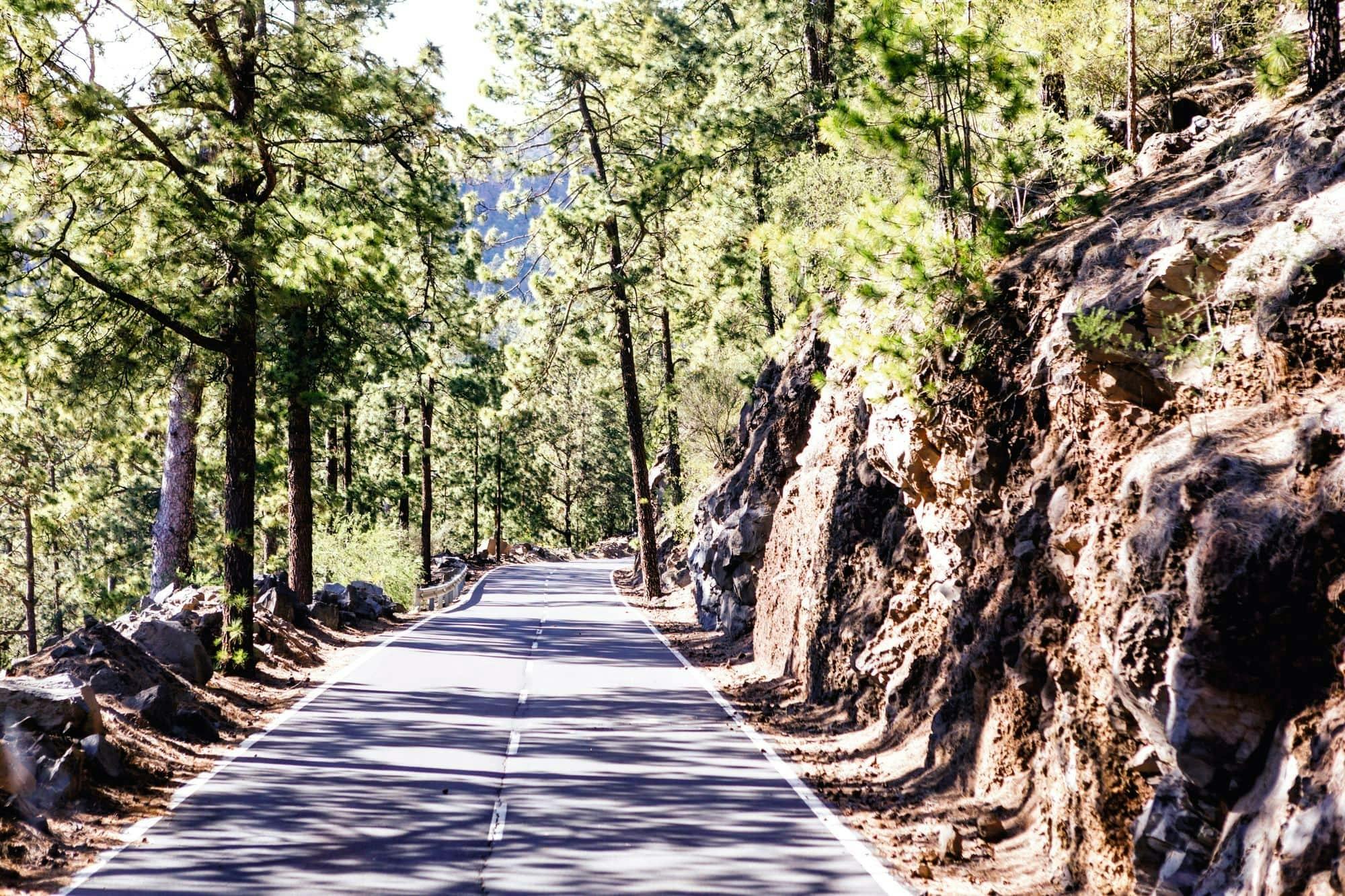 Private accessible tour of Mount Teide in Tenerife