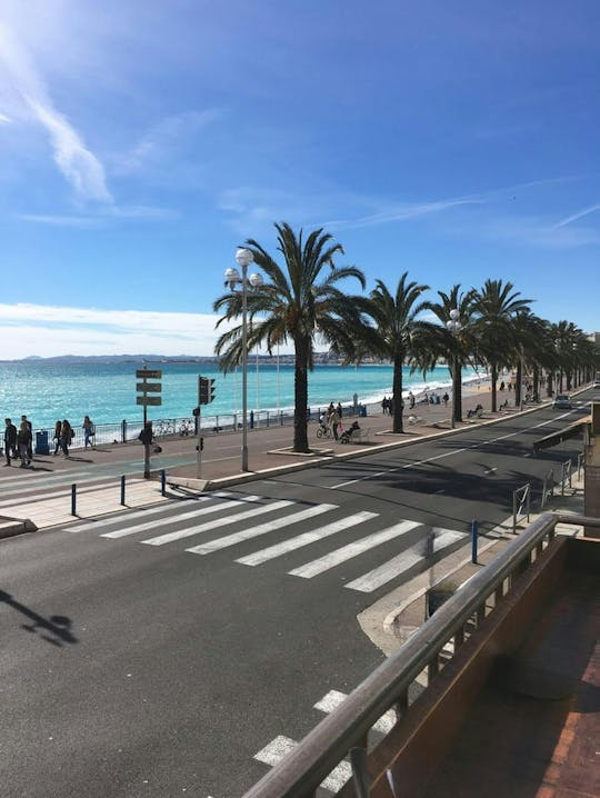 Guided tour of Nice's historical and cultural highlights