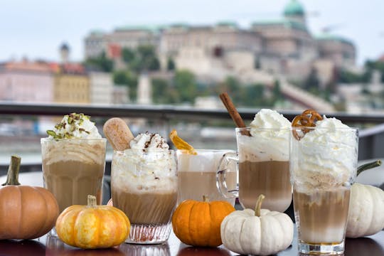 Budapest sightseeing tour with drink