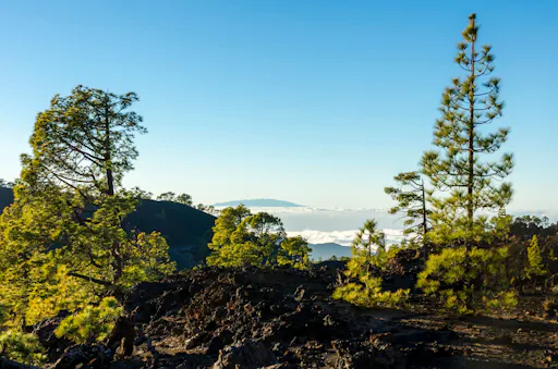 Private accessible tour of Mount Teide in Tenerife