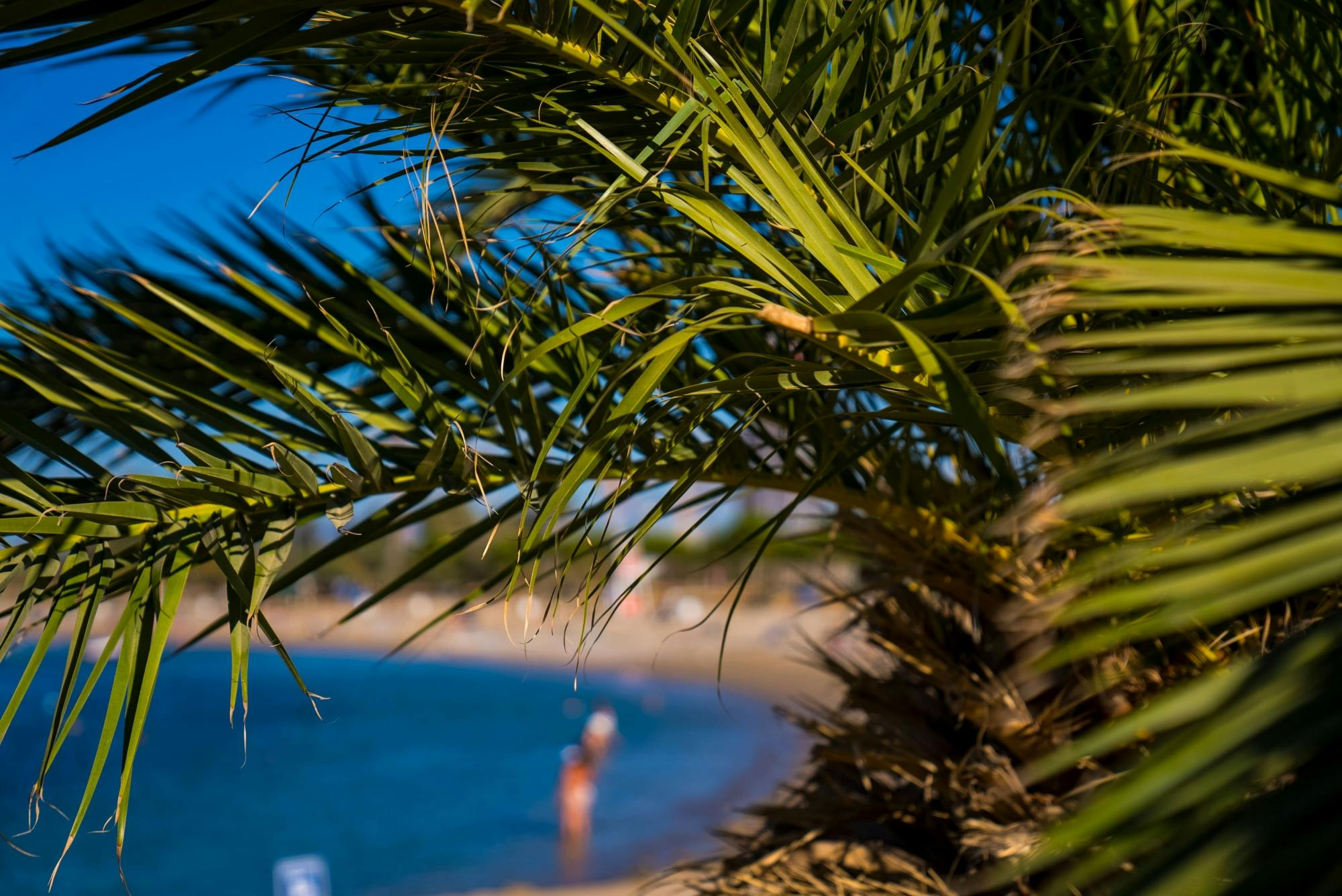 Private Cape Sounion and Temple of Poseidon Tour