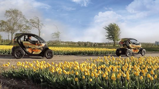 Tour entre tulipas e flores em carro elétrico dirigido por você com audioguia