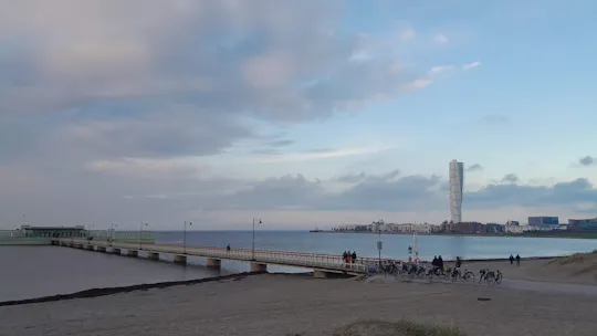 Three-hour guided walking tour of Malmö