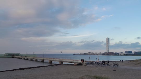 Three-hour guided walking tour of Malmö