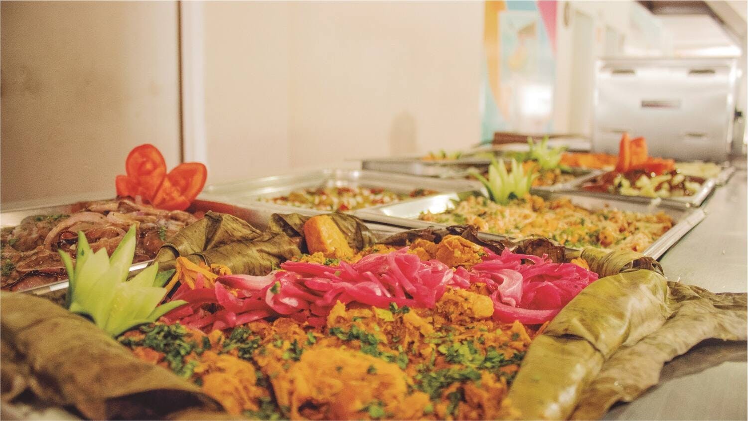 Garrafon Natural Reef Park catamaran cruise and dolphin experience – special offer for two