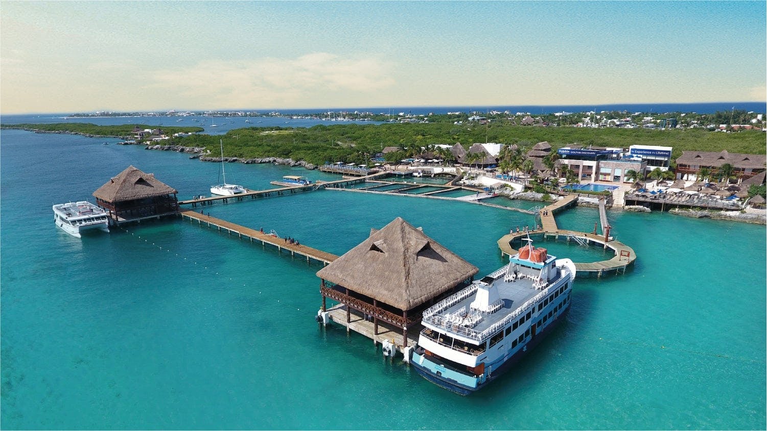 Dolphin swim adventure at Dolphin Discovery Isla Mujeres ticket