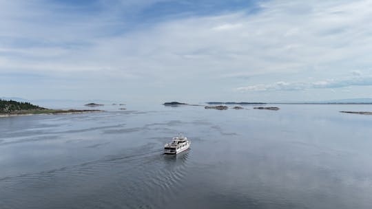 Guided cruise to the secret islands of the St Lawrence