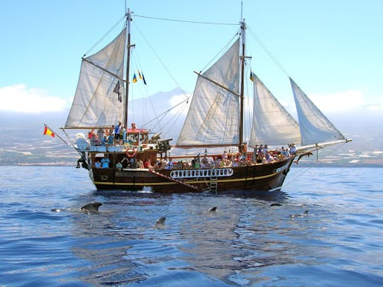 Los Gigantes på delfin- og hvalsafari med Flipper Uno