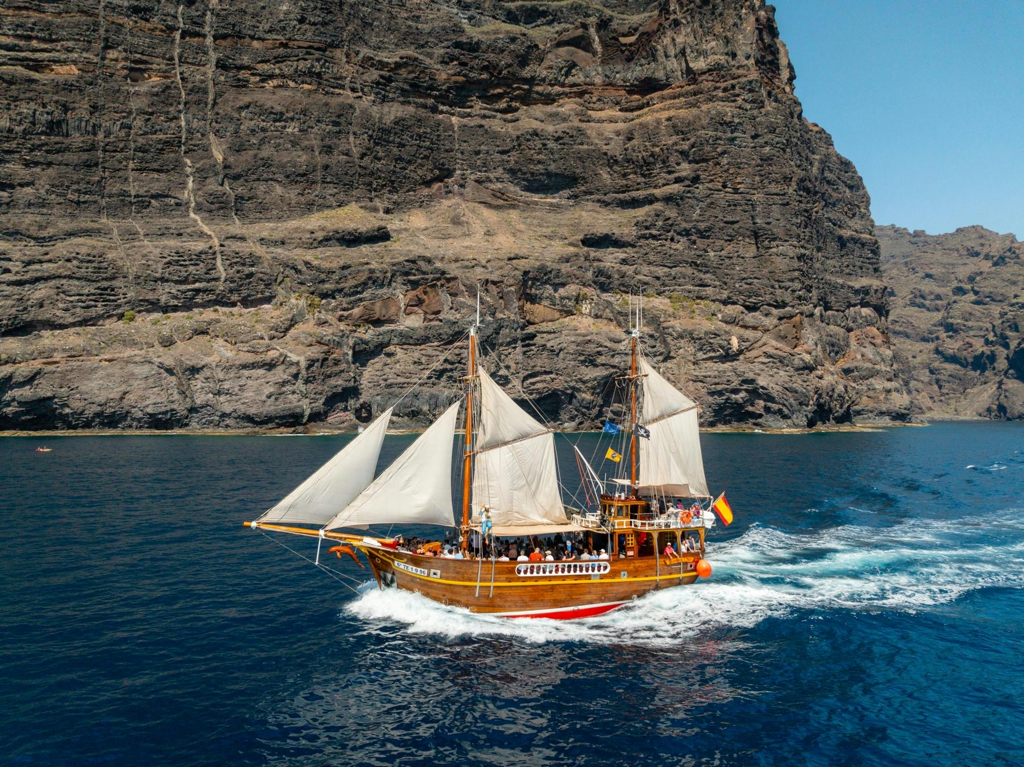 Los Gigantes Flipper Uno dolphin and whale-watching cruise
