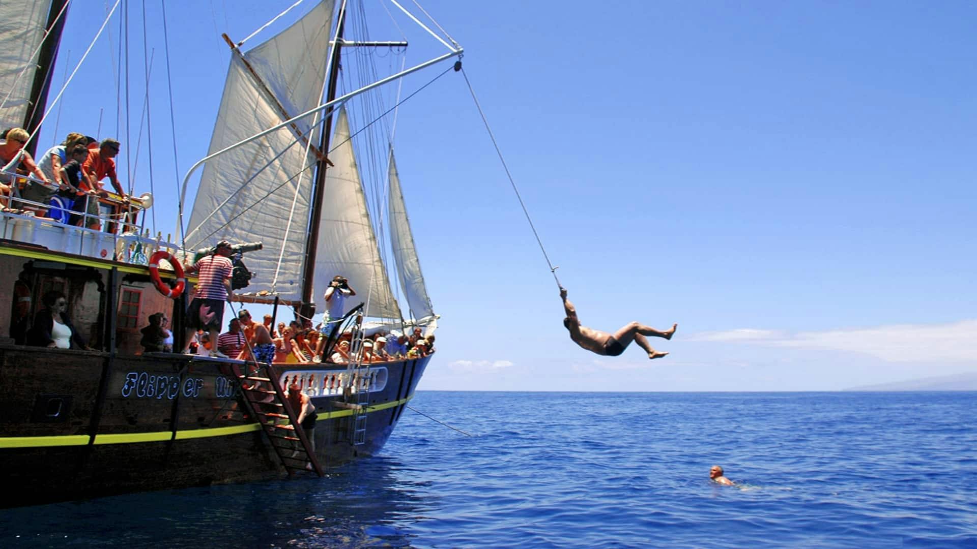 Los Gigantes Flipper Uno dolphin and whale-watching cruise
