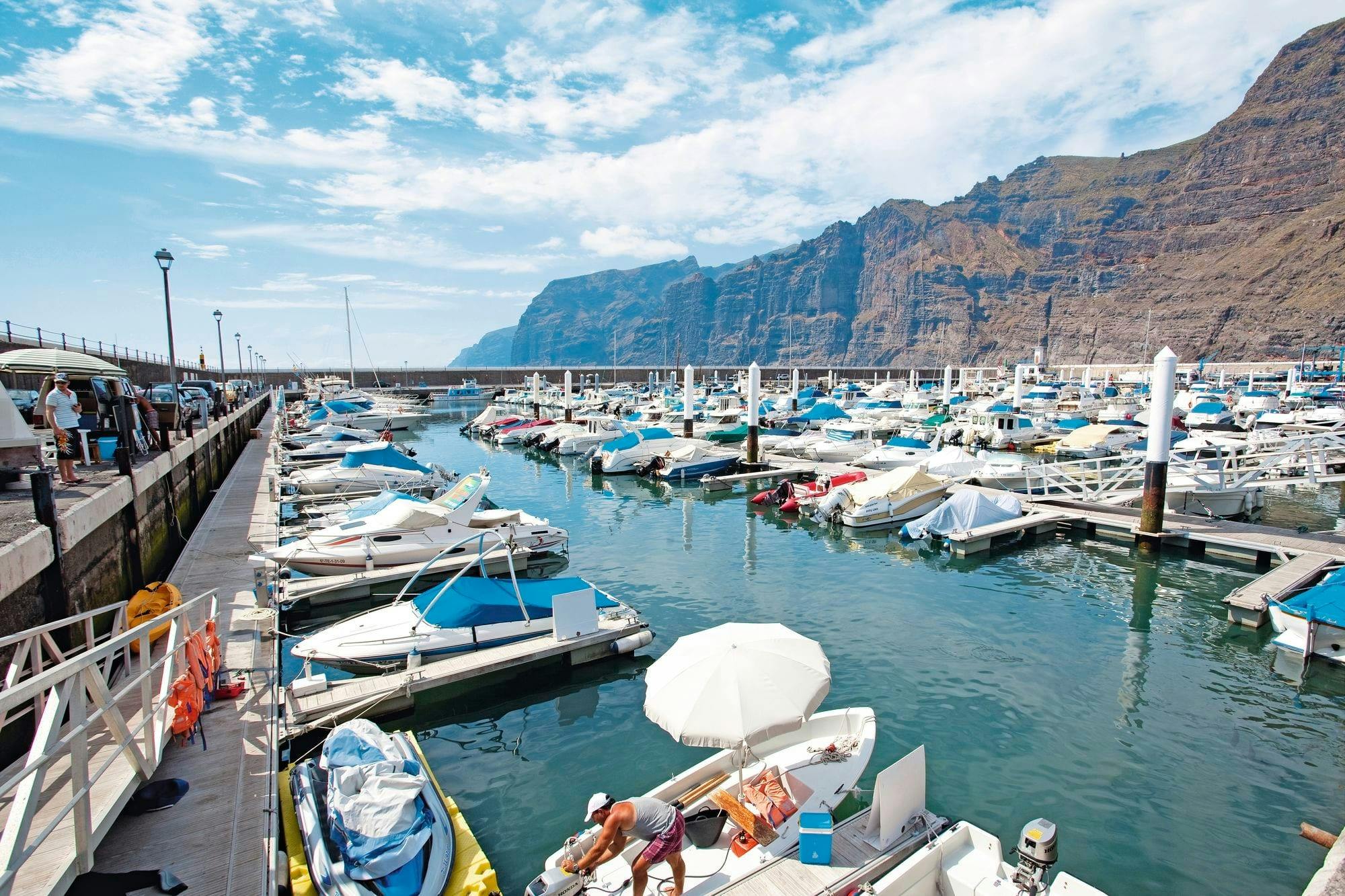 Los Gigantes Flipper Uno dolphin and whale-watching cruise