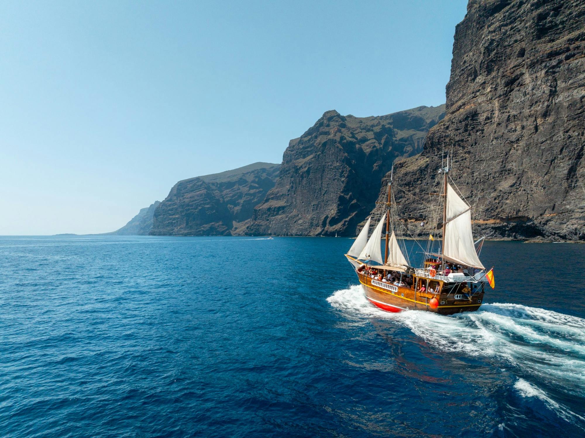 Los Gigantes Flipper Uno dolphin and whale-watching cruise