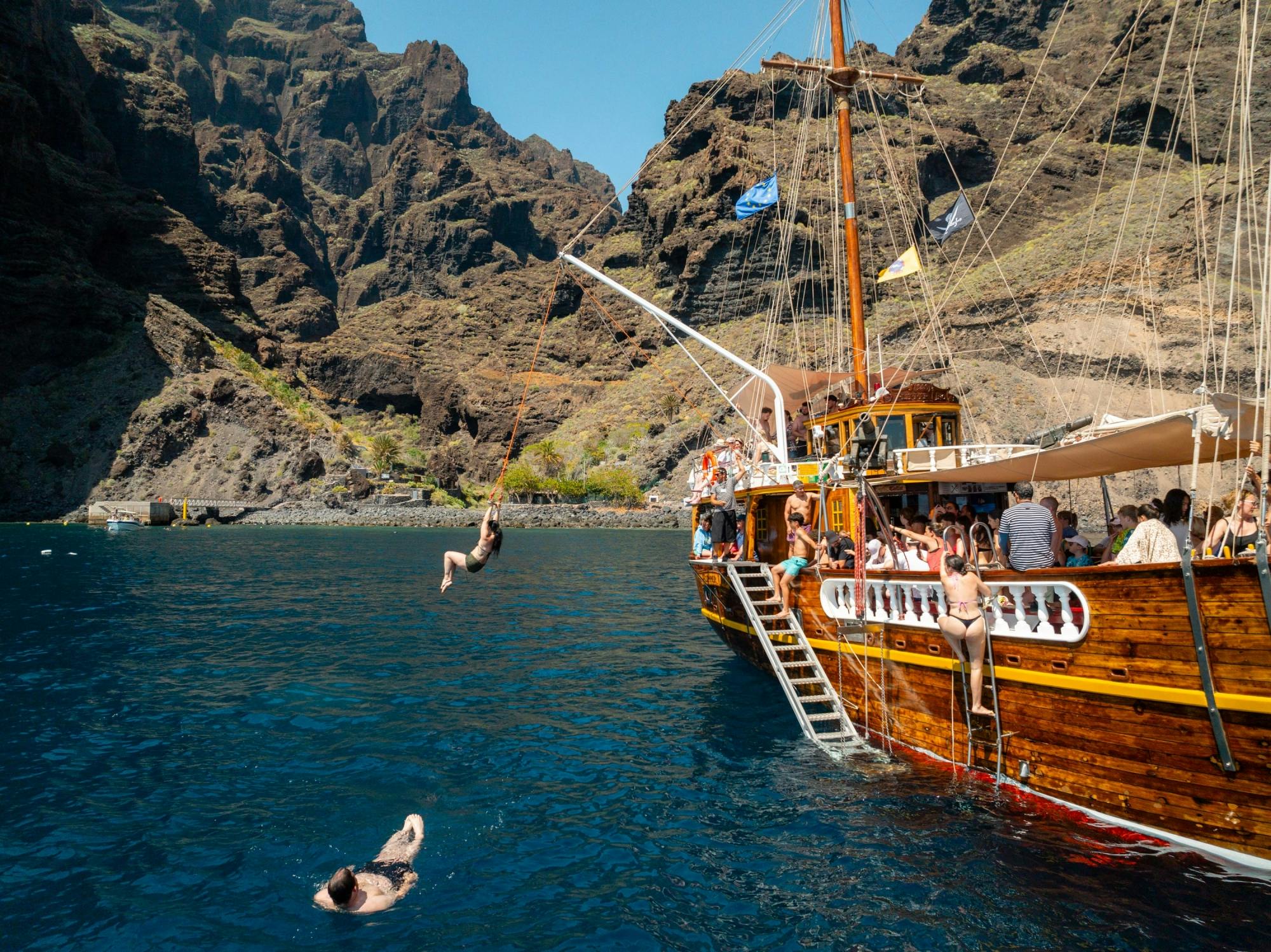 Los Gigantes Flipper Uno dolphin and whale-watching cruise