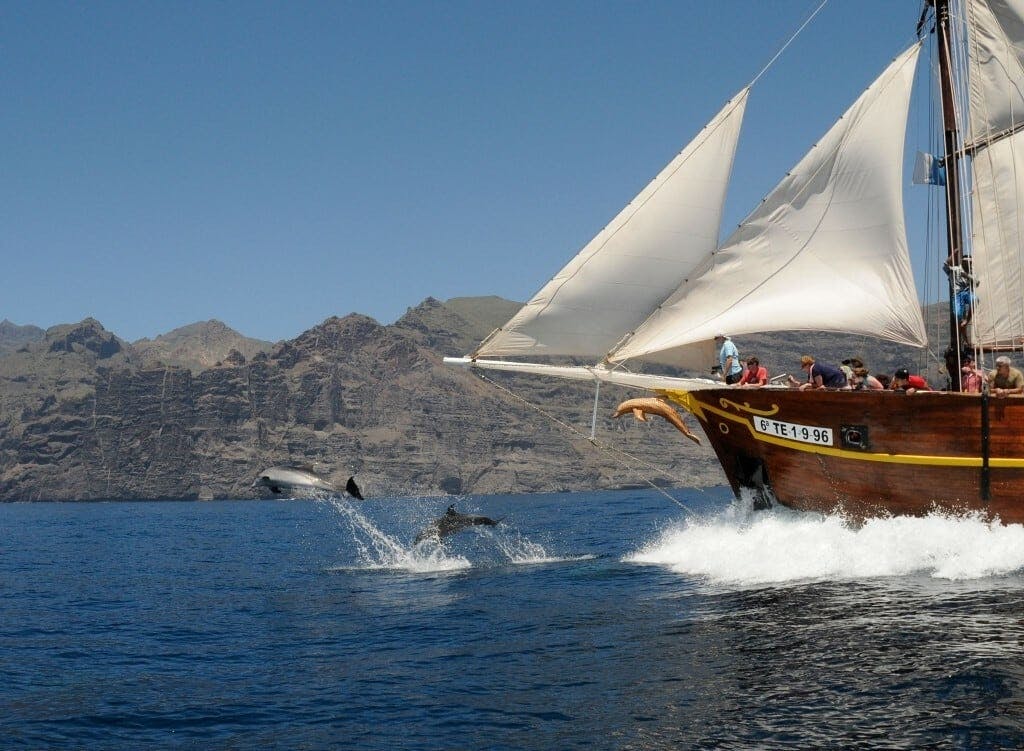 Los Gigantes Flipper Uno dolphin and whale-watching cruise