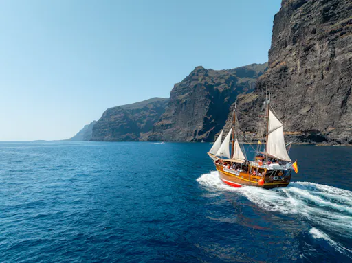 Los Gigantes Flipper Uno dolphin and whale-watching cruise