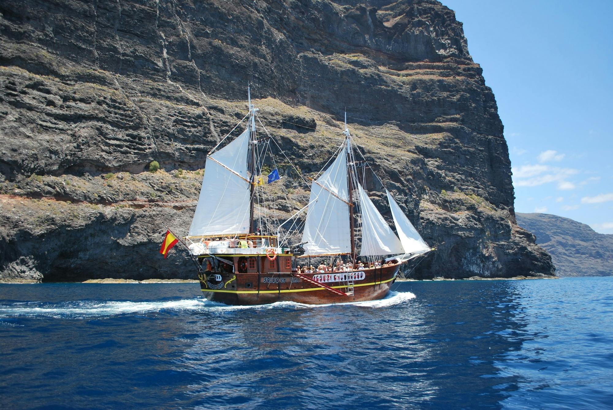 Los Gigantes Flipper Uno dolphin and whale-watching cruise