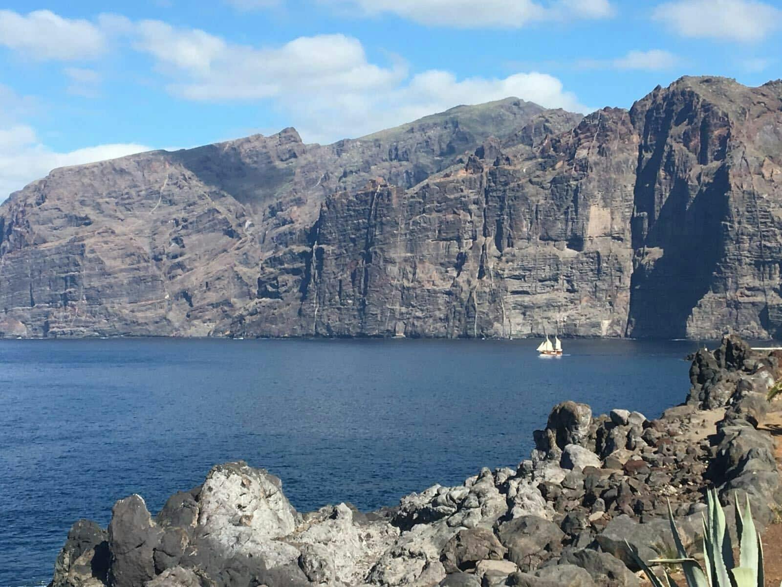 Los Gigantes Flipper Uno dolphin and whale-watching cruise