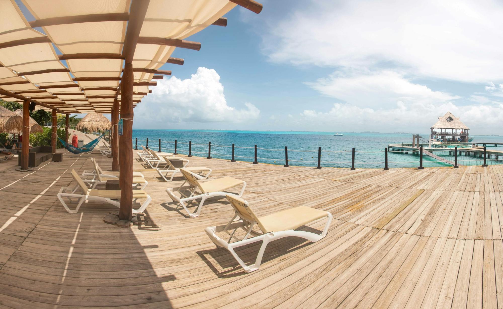 Cancun Exclusive Bronze Dolphin Interactive Programme