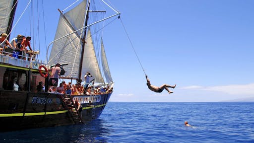 Los Gigantes Flipper Uno dolphin and whale-watching cruise