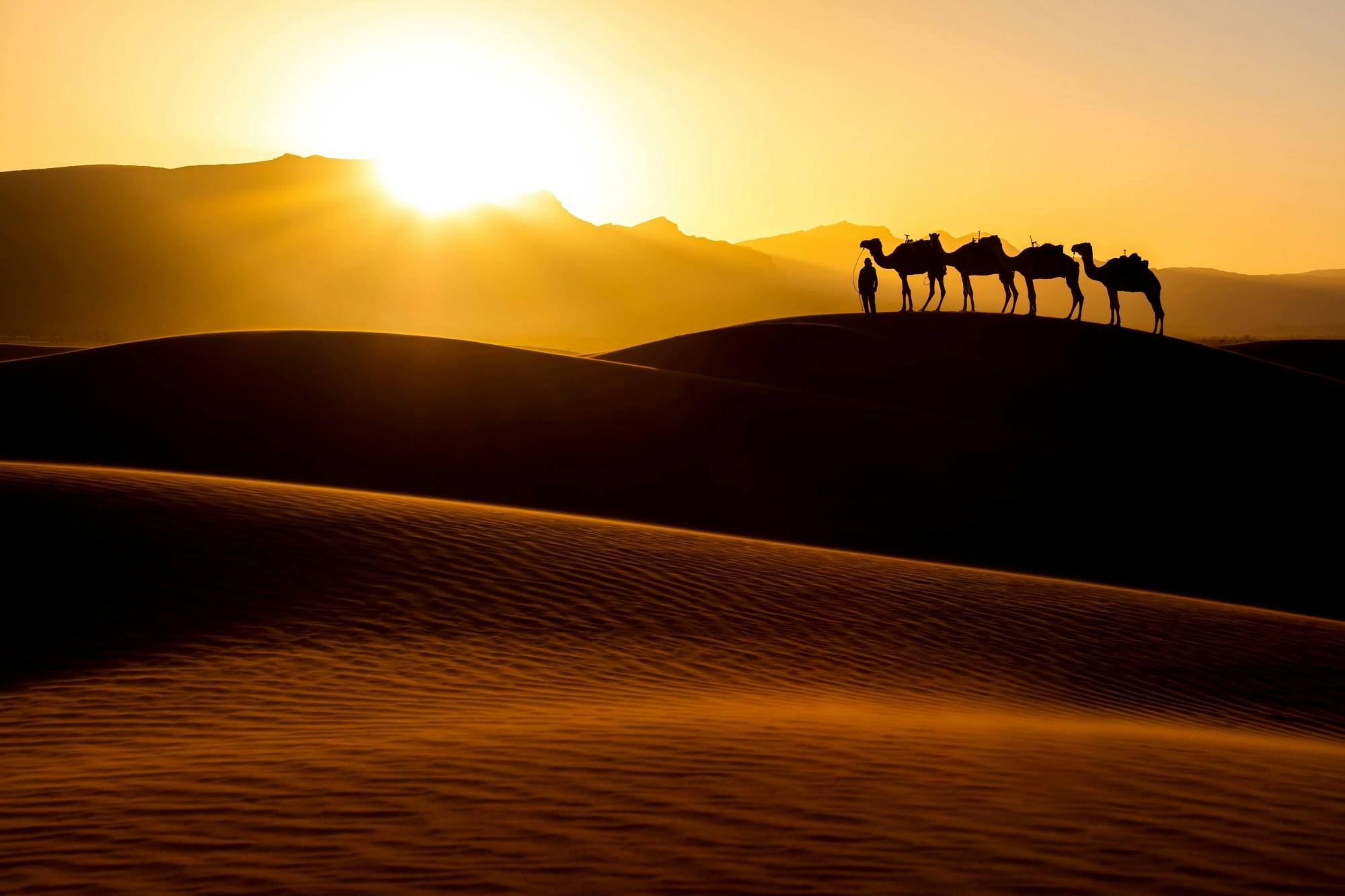 Camp dans le désert entre l'océan et les dunes de sable
