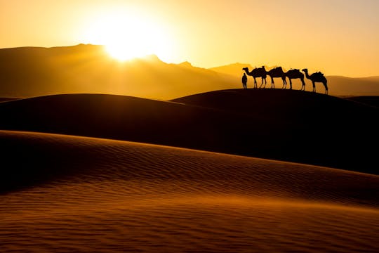 Camp dans le désert entre l'océan et les dunes de sable