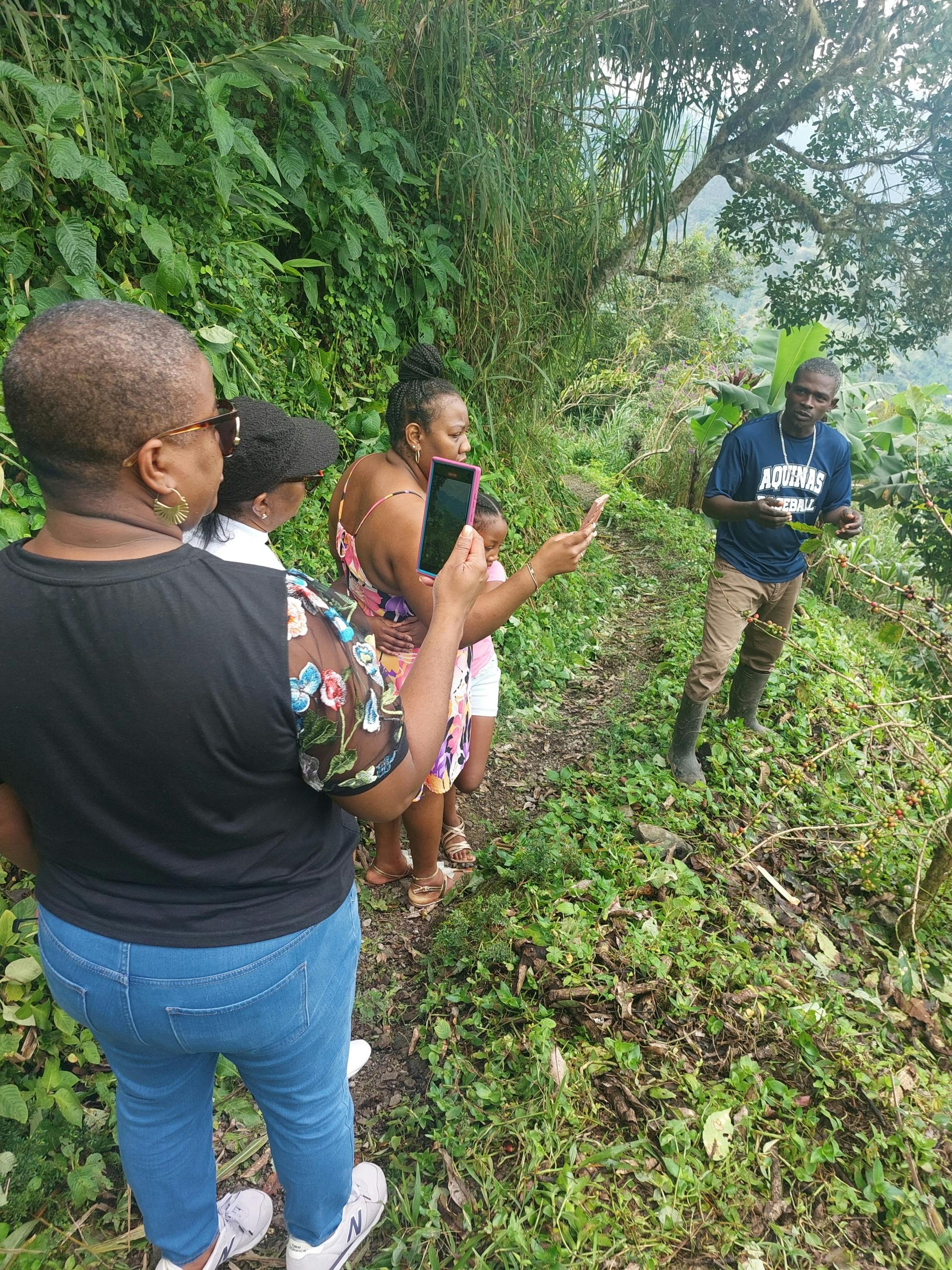 Jamaica's Blue Mountains tour with coffee estate visit