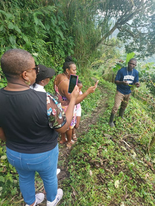 Jamaica's Blue Mountains tour with coffee estate visit