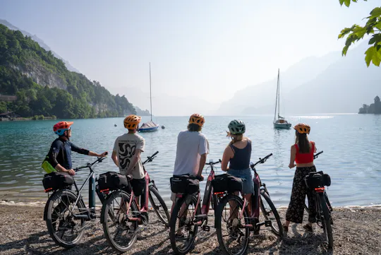 Excursión panorámica en bicicleta eléctrica por Interlaken