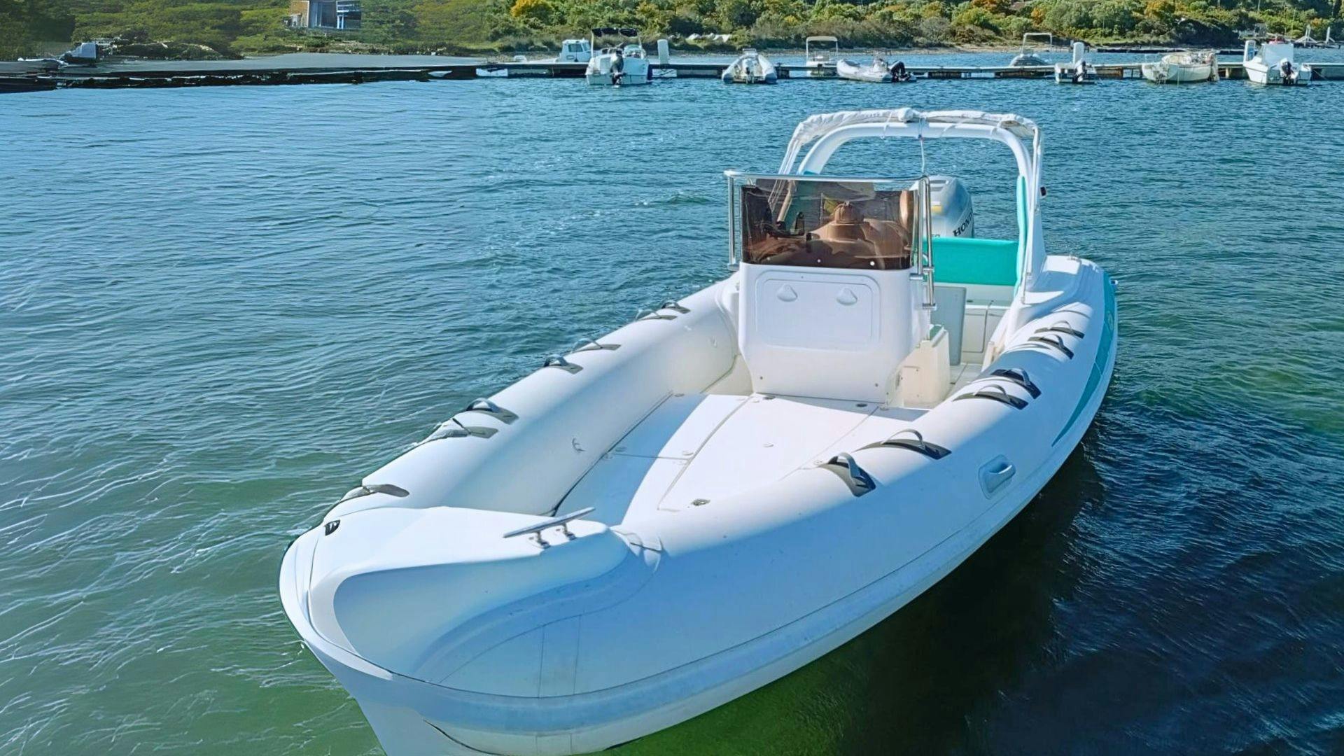 Dolphin watching RIB tour to Capo Figari from Olbia