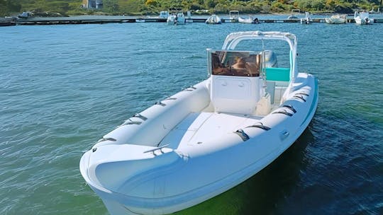 Dolphin watching RIB tour to Capo Figari from Olbia