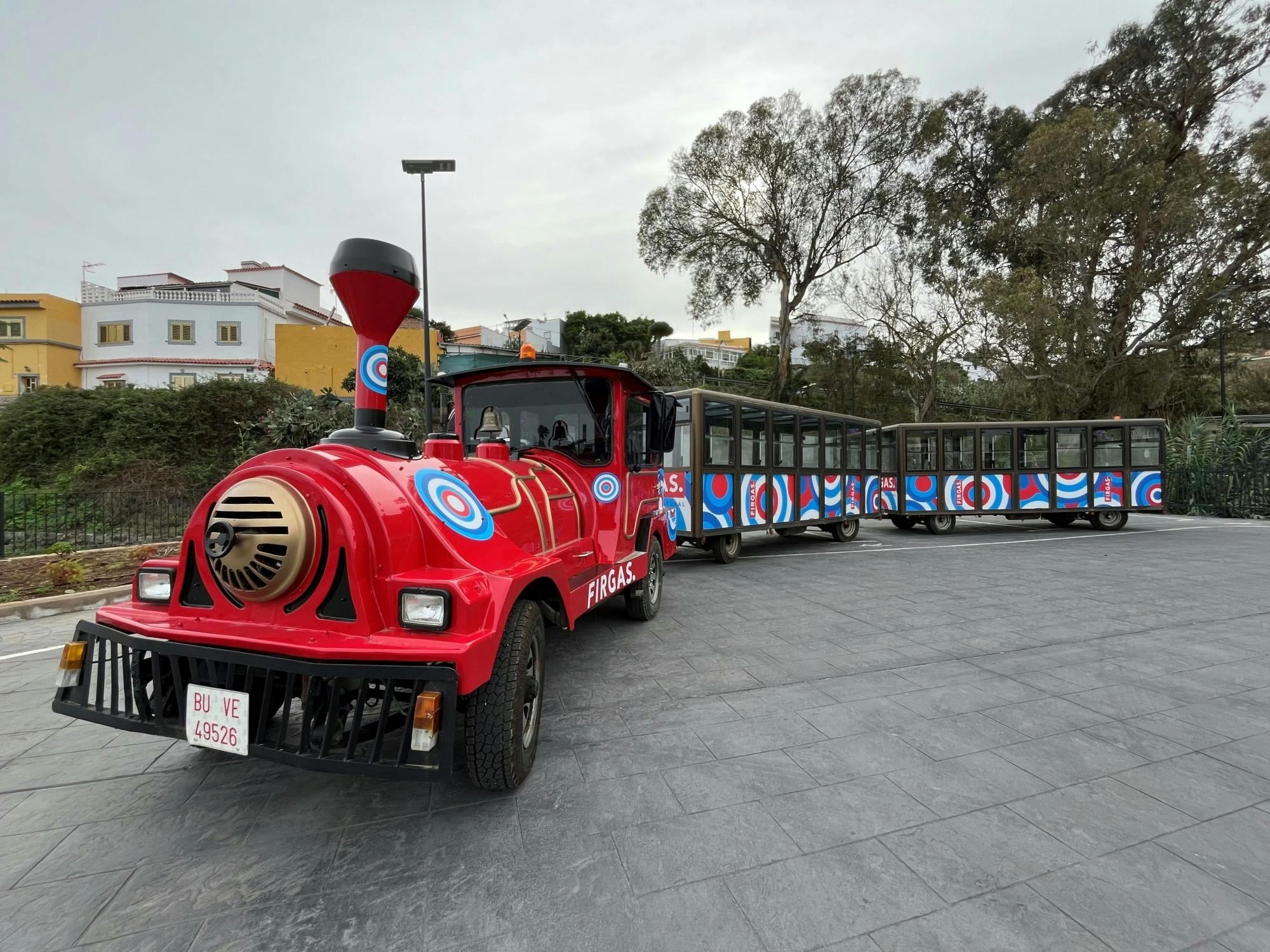 Gran Canaria mini train tasting tour of Firgas