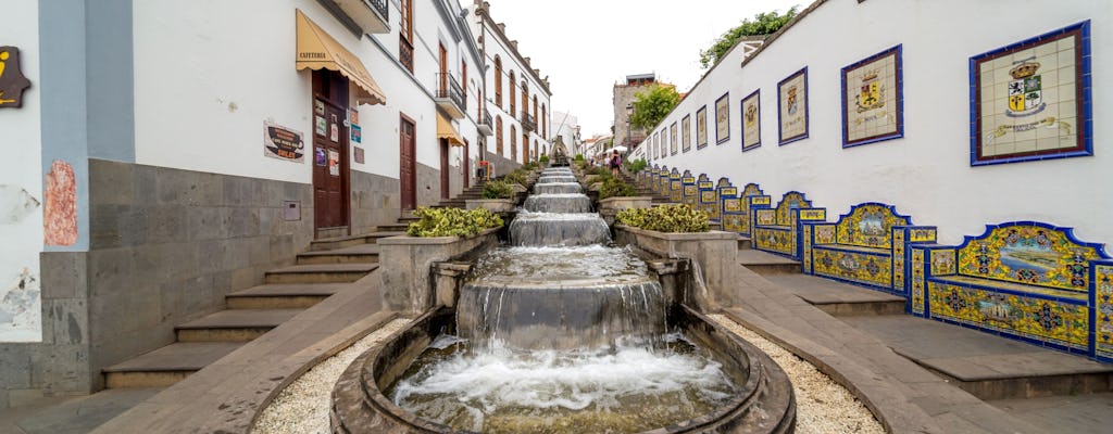 Gran Canaria mini train tasting tour of Firgas